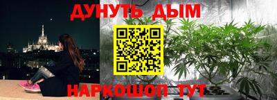 крисы Рузаевка