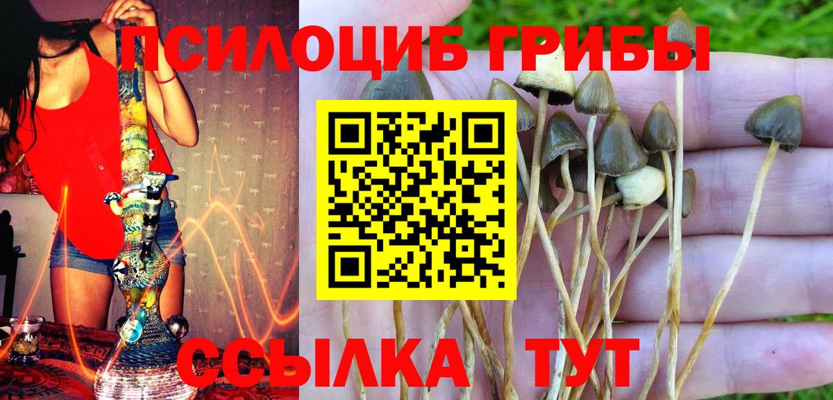 Галлюциногенные грибы ЛСД Обь