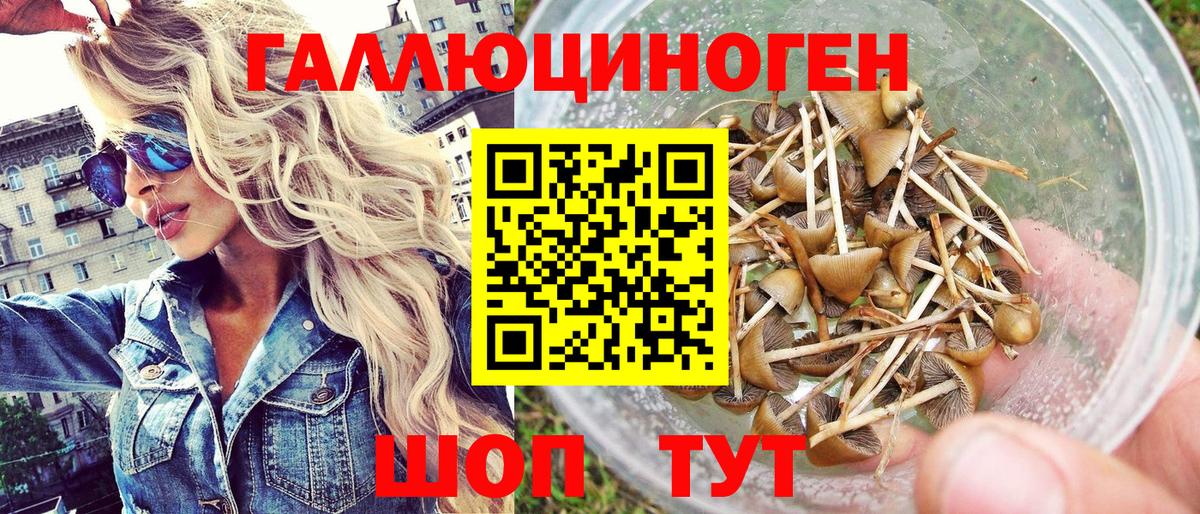 Обь  Галлюциногенные грибы GOLDEN TEACHER  Галлюциногенные грибы Psilocybe  Вход с VPN 